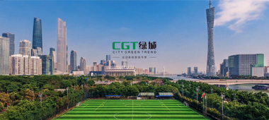 The installation is a challenge in Artificial Grass Turf Market