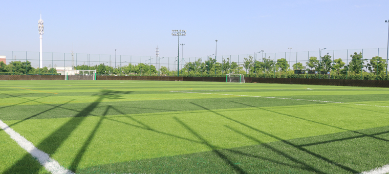 2017.08.11 The Brief Analysis Of Artificial Grass