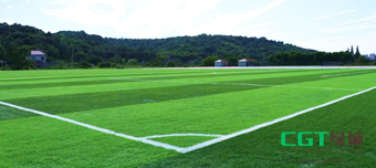 The first CGT-X System football pitch was officially built