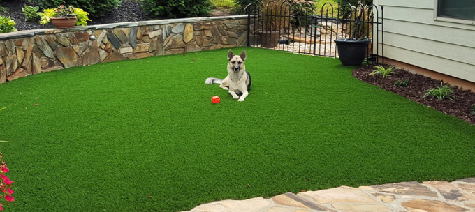 5 Reasons Why Dog Owners Love Artificial Turf
