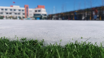 Tips for artificial grass maintenance in snowy weather