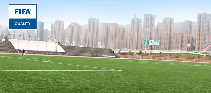 CGT Artificial Turf Company - PINGLIANG VOCATIONAL & TECHNICAL COLEGE